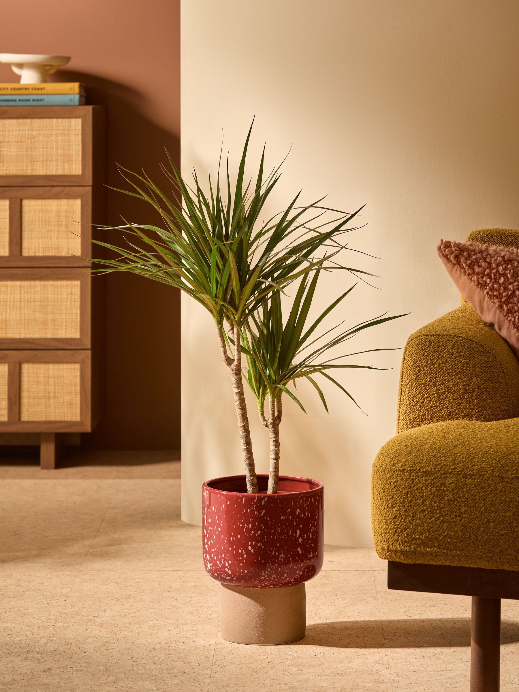 Santiago Hand Splatter Medium Plant Pot