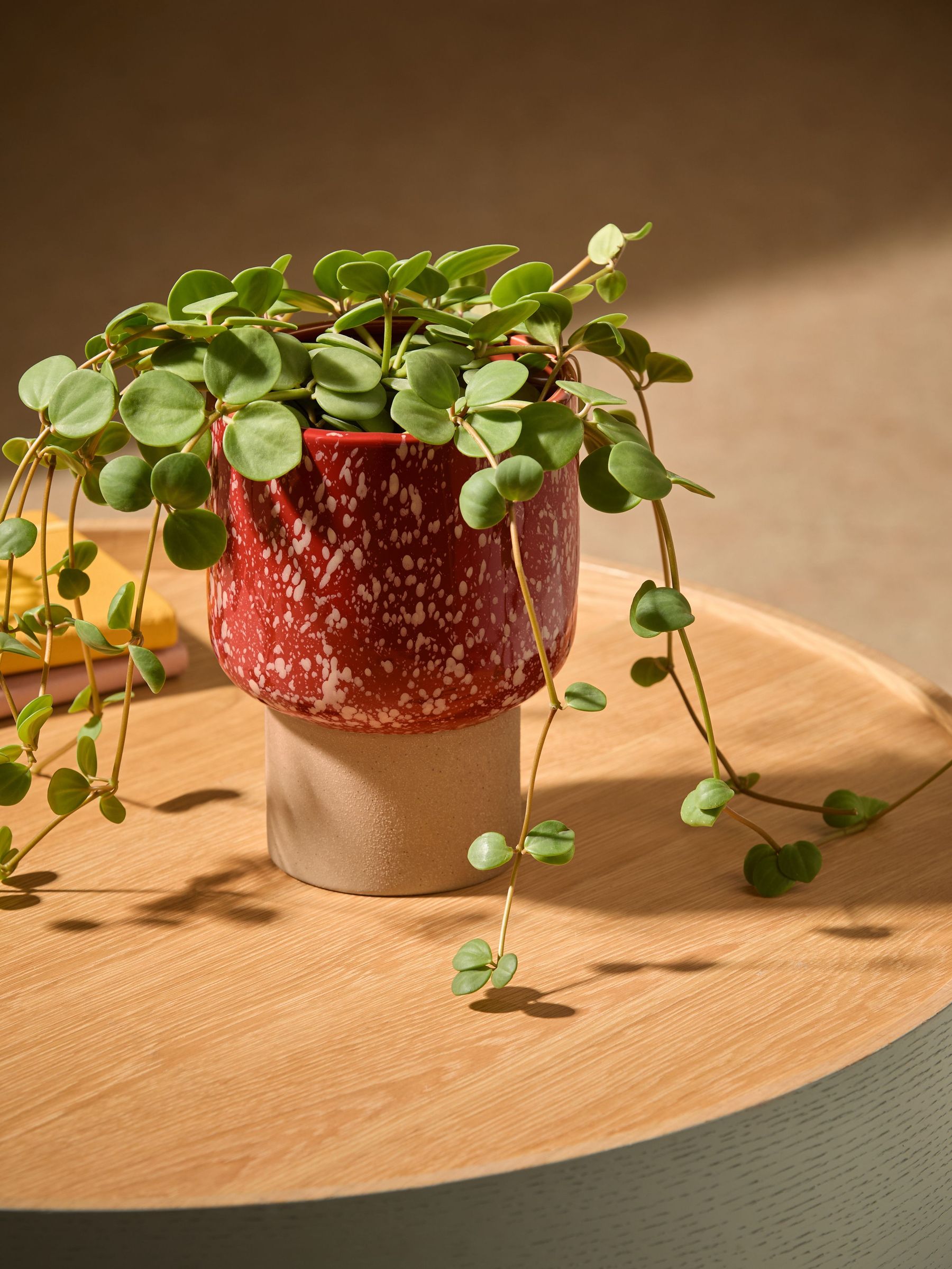 Santiago Hand Splatter Small Plant Pot